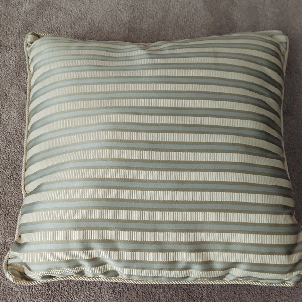 Throw Pillow 🍋🍋
